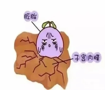 格鲁吉亚试管助孕机构：开启生育希望之门
