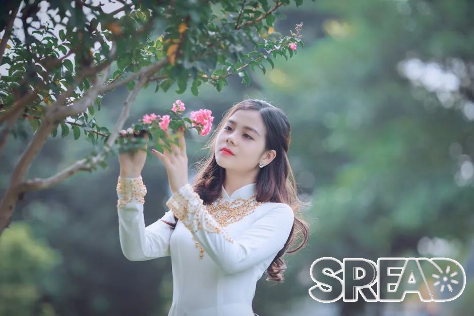 赴日or赴泰做试管，哪个更省心？