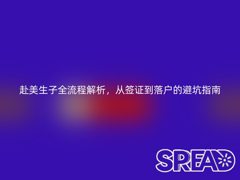 赴美生子全流程解析，从签证到落户的避坑指南
