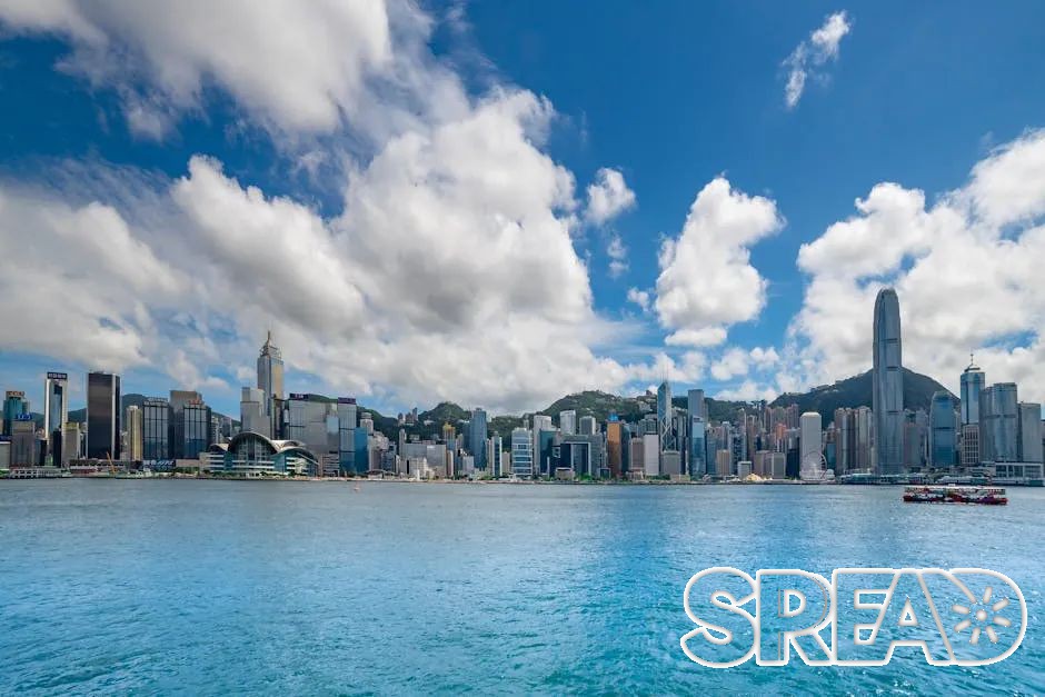 在香港冻卵，单身女性不再被“年龄焦虑”绑架