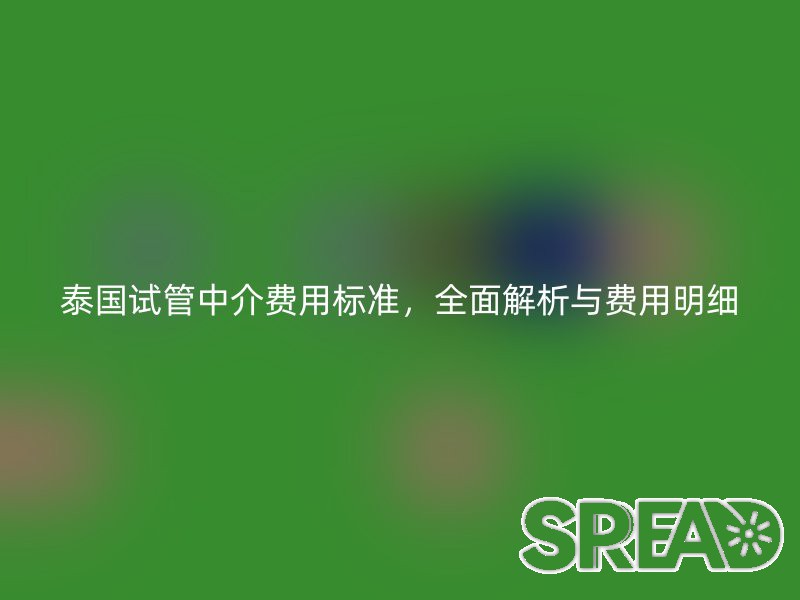 泰国试管中介费用标准，全面解析与费用明细